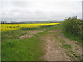 NT9453 : Farm track and field of oilseed rape near Edrington by Jonathan Thacker