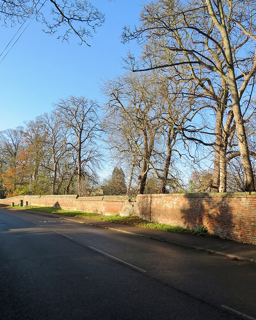 Little Shelford: old wall and tall trees