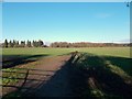 Track across the fields