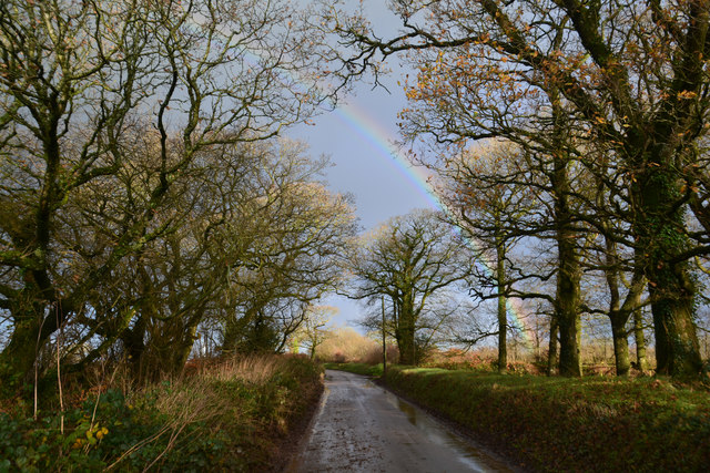 Mid Devon : Country Lane