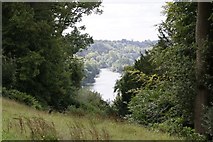 SU9085 : View from the oak by Bill Nicholls