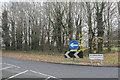 SK3034 : Traffic Island copse by Malcolm Neal