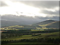 Winter sunlight, Clyde Valley