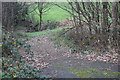 Farm track from Plasycoed Road