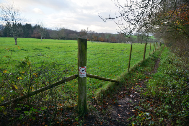 Mid Devon : Grassy Path