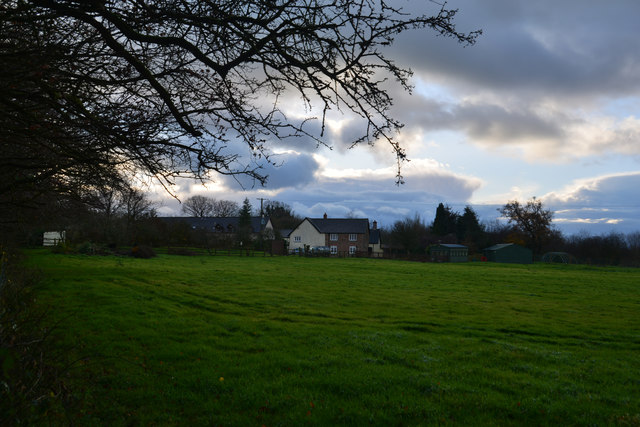 Mid Devon : Grassy Field