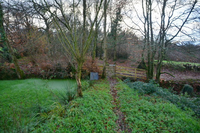 Mid Devon : Grassy Path