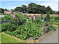NZ3276 : Community Garden, Seaton Delaval Hall by Andrew Curtis