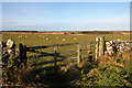 Farmland at Roxburgh Mains