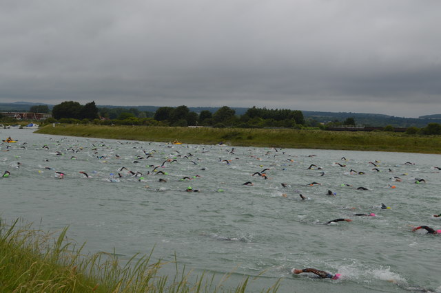 Openwater swimmers