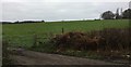 Footpath to Little Oddynes Farm