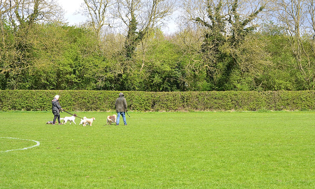 Dog walkers on the pitch, Newbold Comyn Park, Leamington