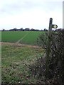 Footpath And Sign