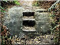 Rock cut steps in West Park Local Nature Reserve