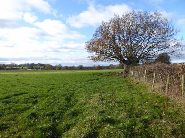 Farmland at The Hundred