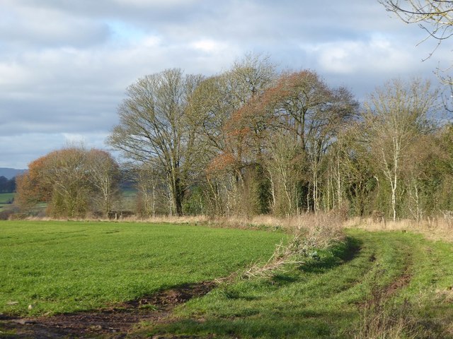 A field headland
