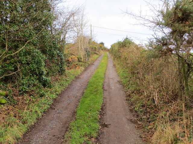 Enclosed track leading onto Mynydd Mechell