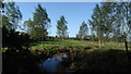 The R Alde at Langham Bridge near Blaxhall