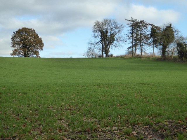 Field opposite Inchmoor