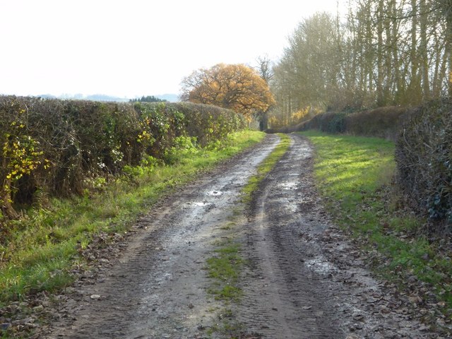 Dumblehole Lane