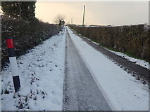 H4276 : Snow, Rash Road by Kenneth  Allen