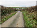SH3284 : Hedge enclosed lane to Graianfryn by Peter Wood