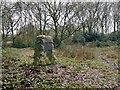 Commemorative stone on Lindow Common