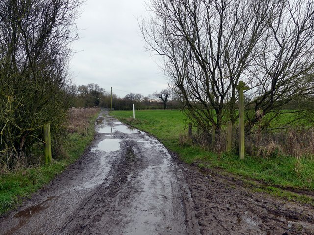 Muddy footpath junction