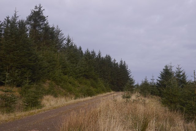 Road over Muckle Rig