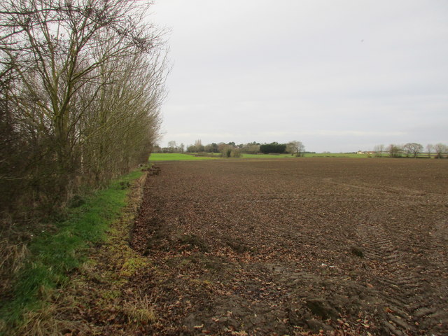 Field edge near the Manor House, Brandesburton