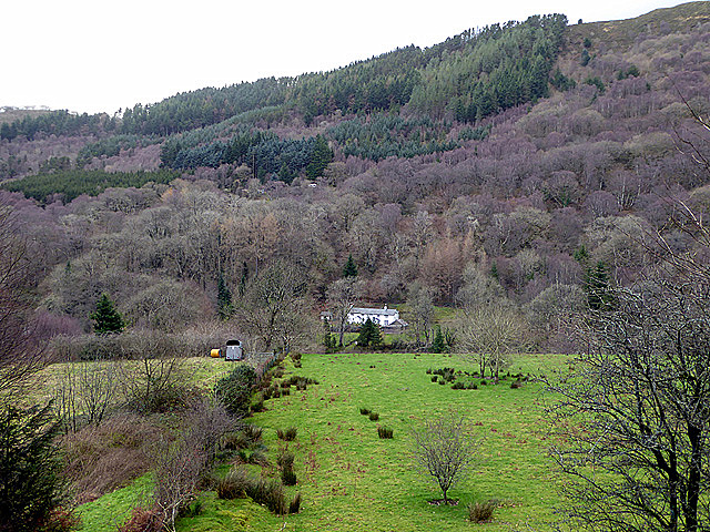Pasture and house, Cwm Rheidol