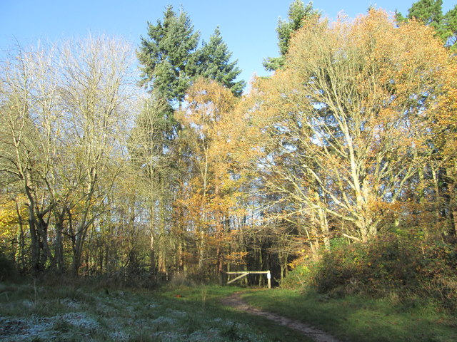 Autumnal colours at Ladies Arbour