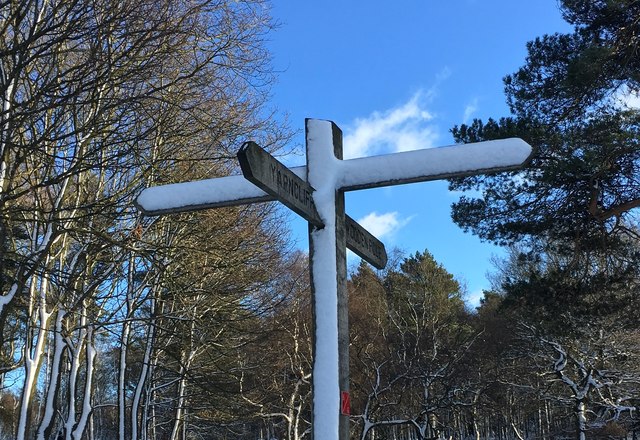 Snow-covered signpost