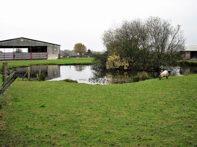 Pond at Ersham Farm, Hailsham