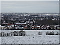 Western slopes of Bushbury Hill