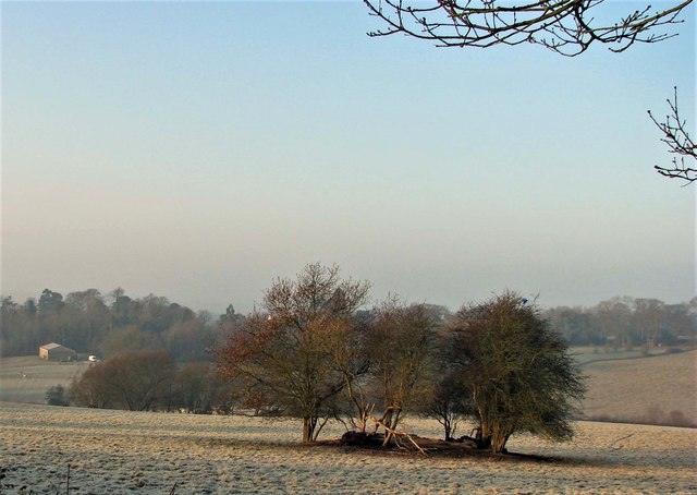 Frost on Churchland Fields, Sedlescombe