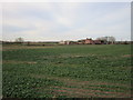 TA1931 : Farm on Sproatley Road and field of oilseed rape by Jonathan Thacker