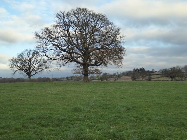 Farmland near Greete