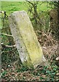 Old Milestone by the A4129 by Whirlbush Farm