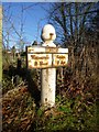 Old Milepost by the A537, at Henbury