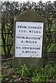 Old Milestone by the A523, south of Butley Town