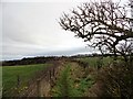 Footpath over the fields