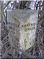 SJ6556 : Old Milepost by the B5074, Main Road, Worleston by Ian Scrimgeour