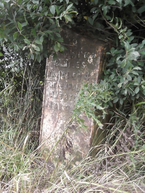 Old Milepost by the A41, south of Duckington
