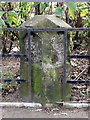 Old Milestone by the A69 in Botcherby