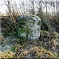 Old Milestone by the A596 at Risehow