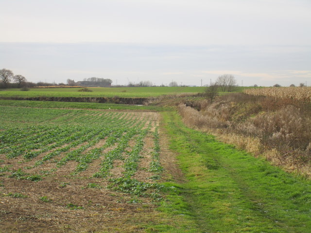 Track to a pond near Sproatley Grange