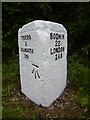 Old Milestone by the A390, Pencalenick Wood