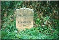 Old Milestone by the B3257, north of Pitt Farm