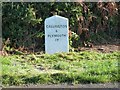 Old Milestone by the B3257, south of Brentholm